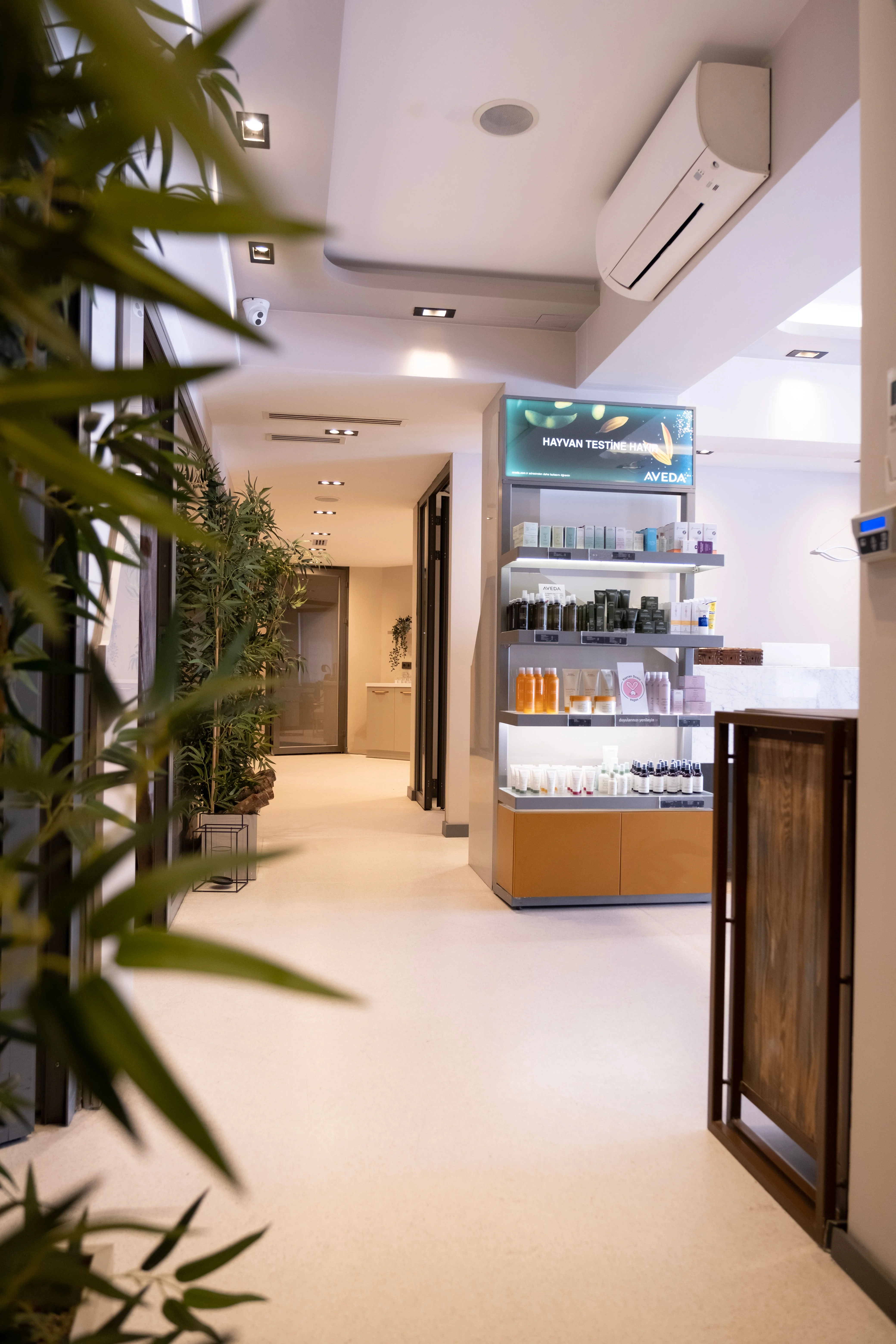 Spa corridor with a skincare product display and potted plants